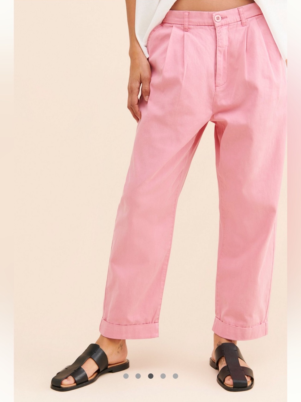 Anthropologie Pistola Kellin Pleated Chinos Trousers Pants in Pink Size 29